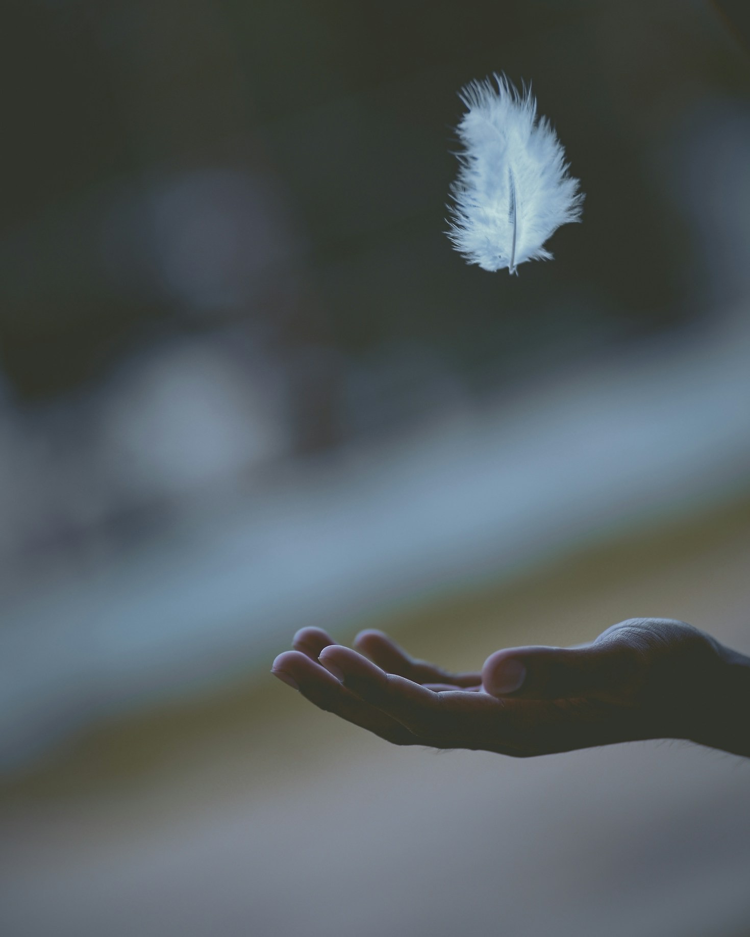 Personal Growth: A Journey Through Expert Guidance