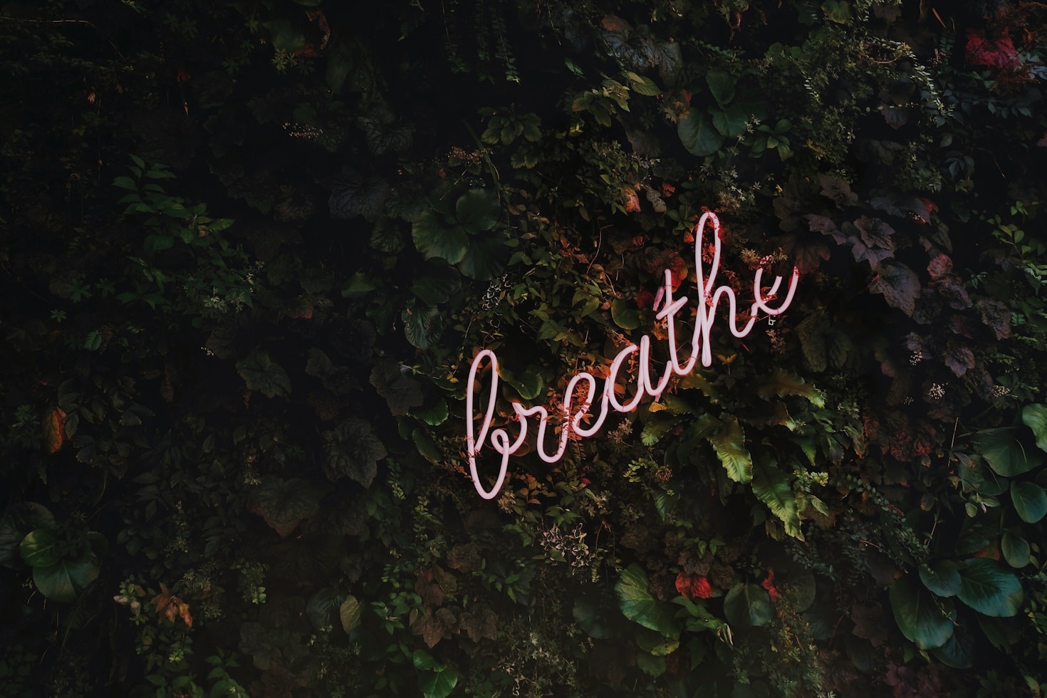 Exploring the Role of Therapy in Goal Achievement